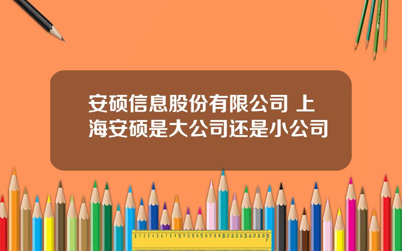 安硕信息股份有限公司 上海安硕是大公司还是小公司